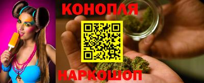 прущие грибы Моздок