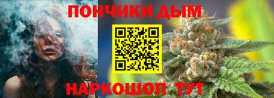 прущие грибы Моздок