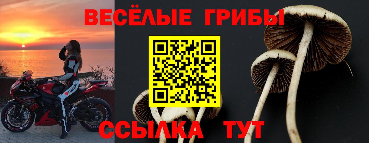 Ульяновск  Псилоцибиновые грибы Cubensis  Вход с VPN 